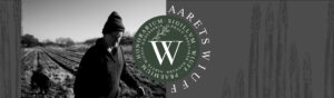 Wiuffcover