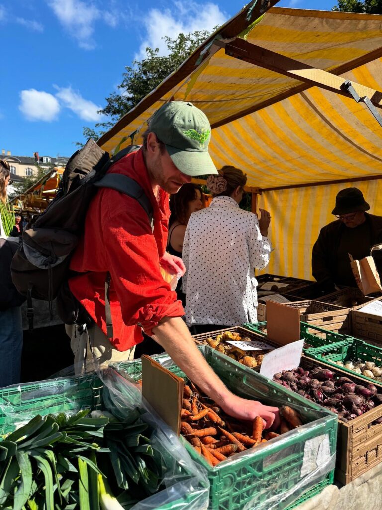 539525338 18068458034229484 678461931990160043 n 1