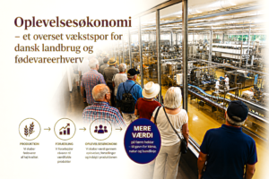 oplevelsesoekonomi